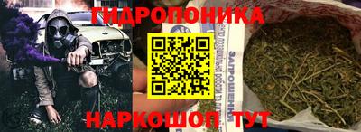 apvp Тверь