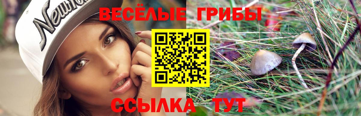 Норильск  Псилоцибиновые грибы прущие грибы  Вход с VPN  Галлюциногенные грибы GOLDEN TEACHER 