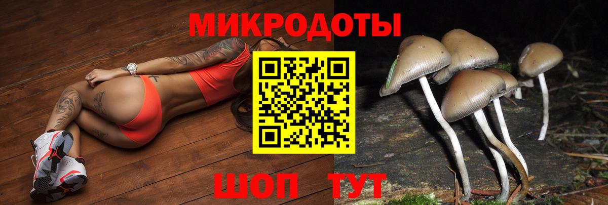 Псилоцибиновые грибы Psilocybine cubensis Норильск